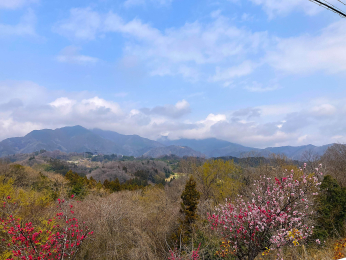 �Z�˂���̒��]�ʐ^ -